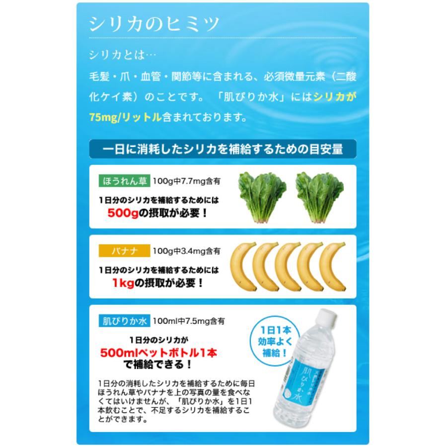 送料無料 コニサーオイル 天然シリカ水 肌ぴりか水 ペット 500ml ×2箱【48本】 (まとめ買い) 温泉水 |  | 02