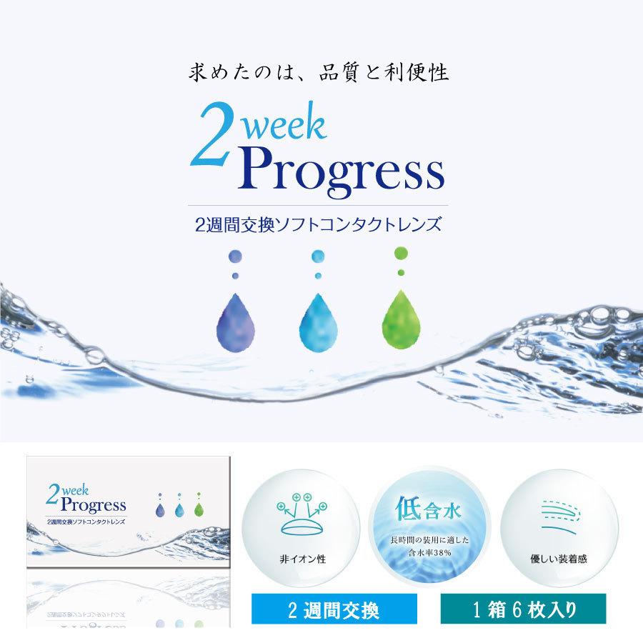 コンタクト 2ウィークプログレス(6枚入)　×2箱　2week progress クリアコンタクト  2週間交換 ツーウィーク　安い |  | 01