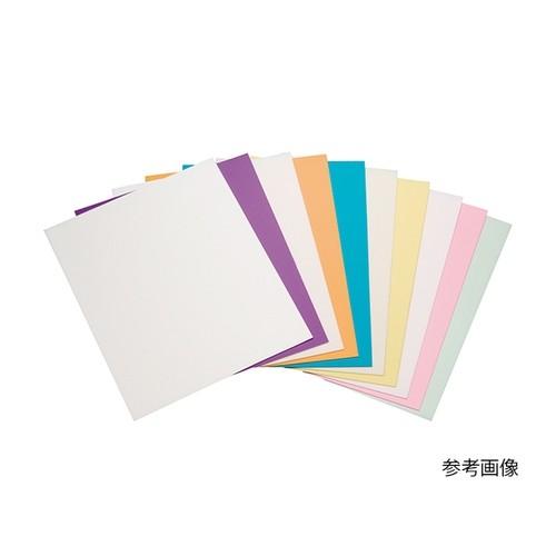 アズワン(AS ONE) 精密研磨フィルムシート #1000 50枚入 SKF#1000 1箱(50枚入り)