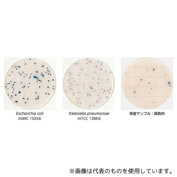 キッコーマンバイオケミファ 61975 EasyPlate 大腸菌・大腸菌群数測定用(25枚/袋×4袋/箱×5箱入)EC_4