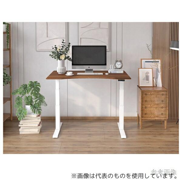Flexispot 電動昇降デスク(天板付き)4570104040432+4570104040494 