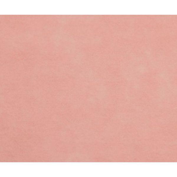 アズワン(AS ONE) ディスポ防炎カーテン 面ファスナー式190 ピンク