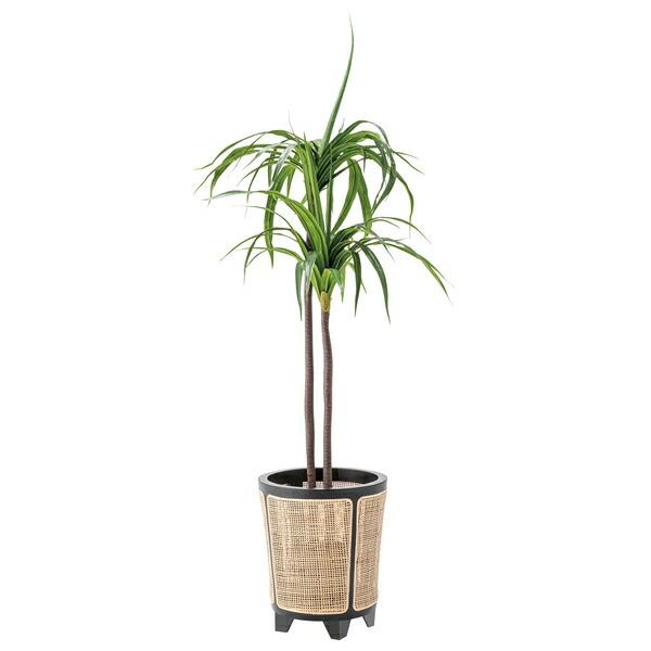 東谷  プランターカバー 鉢 園芸用品 ラタン 籐 天然木 丸 円形 ガーデニング 植物 安い 人気 GUY-925_1