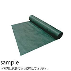 珍しい デュポン ザバーン 防草シート 136グリーン スタンダードタイプ 2ｍ 50m 厚さ0 4mm Xa 136g2 0 配送制限商品 即日出荷 Www Thedailyspud Com