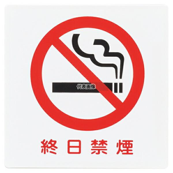 アイテック 終日禁煙プレート KP101-9 100×1.5×H100 プレート  No.1014820 | 