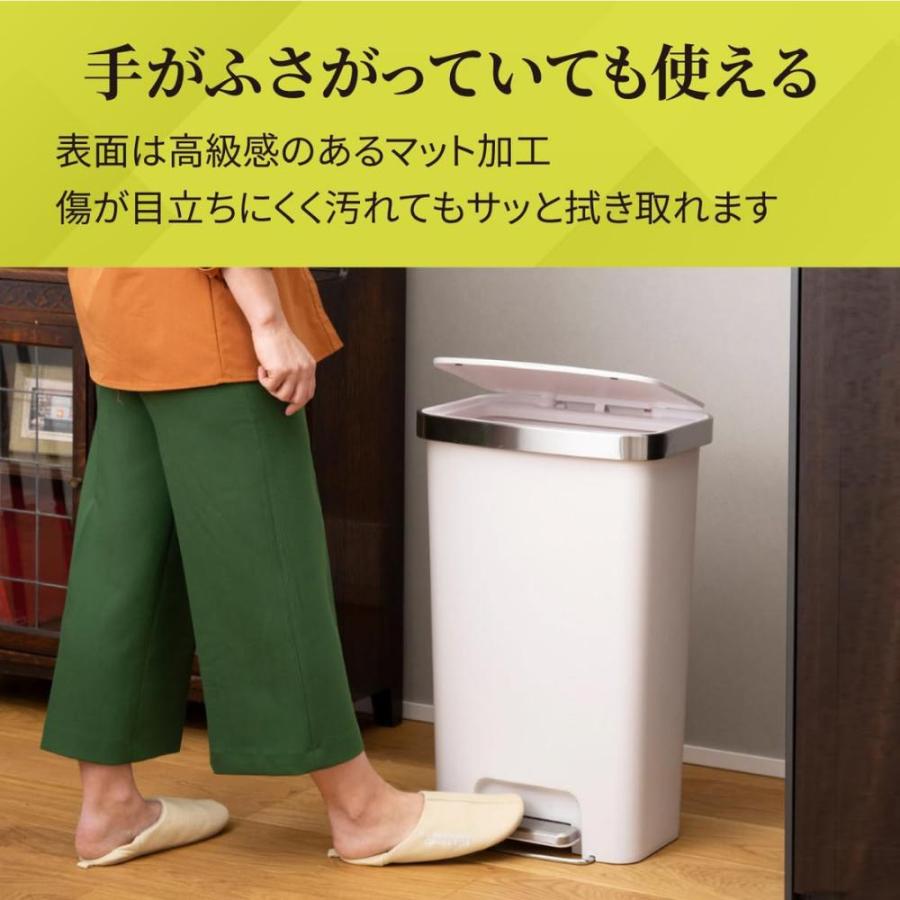EKO JAPAN ハナプラスチックステップビン45L グレー [EK6266-45L-GR]の画像