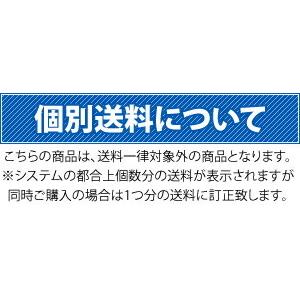 長谷川工業 はしご兼用脚立 RC2.0-12 アルミ 軽量 スタンダードタイプ [法人・事業所限定]｜firstfactory｜02