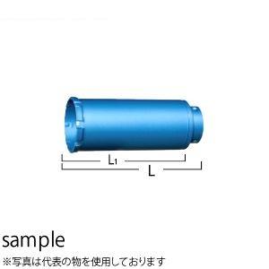 公式の店舗 HiKOKI（日立工機） スーパーウッドガルバコアビット φ160×157mm(ガイドプレート付) No.0033-2140 配管工具