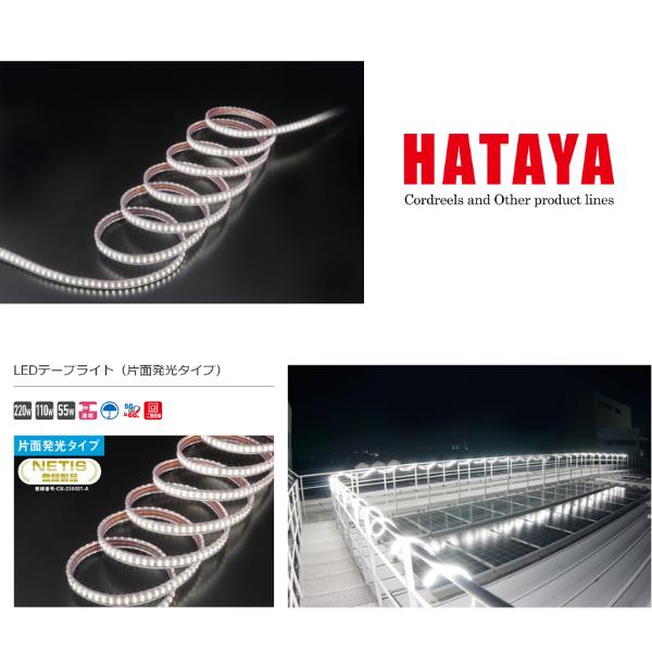 HATAYA(ハタヤ) LEDテープライト 作業灯照明用品 片面発光タイプセット 