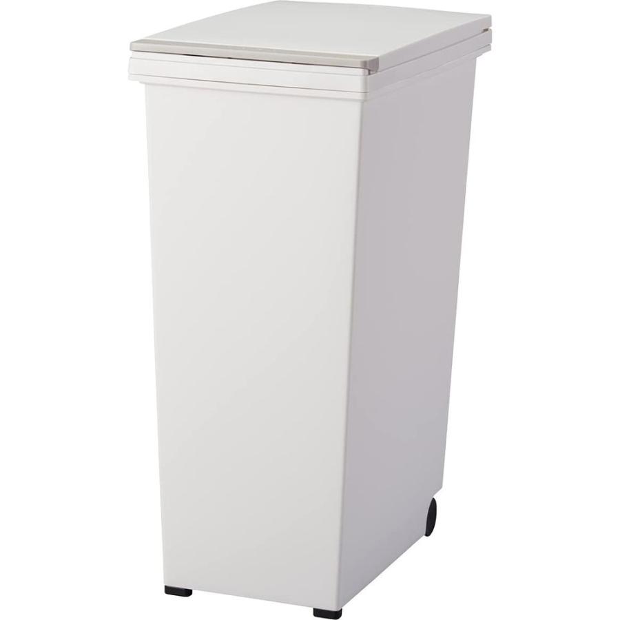 【2個セット】アスベル エバンプッシュペール45L 6013 ホワイト | ゴミ箱 アスベル エバン エバンプッシュペール プッシュペール45L_1