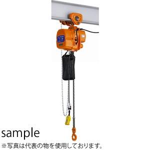 キトー(KITO) 電気チェーンブロック ファルコンEFL1速形・2速形