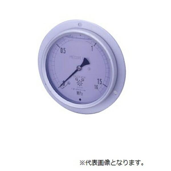 第一計器製作所 GRKグリセリン入圧力計 G-DUR3/8-75:2MPA