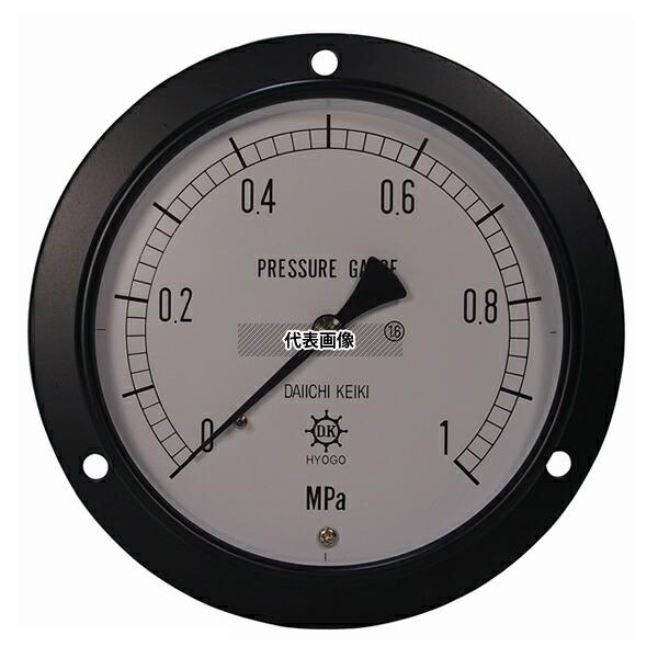 第一計器製作所 IPT一般圧力計 DU1/2-100:0.25MPA