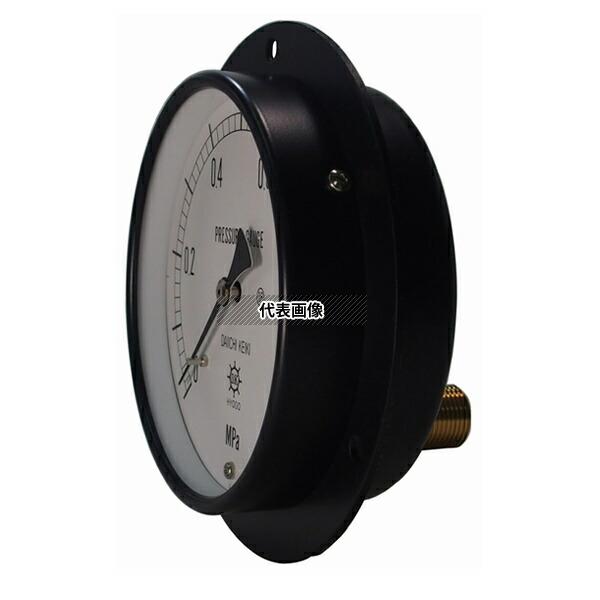 格安販売 第一計器製作所 IPT一般圧力計(蒸気用 DMU1/2-150:1.6MPA