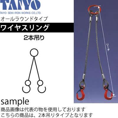 大洋製器 ワイヤスリング(2本吊) 1ｔ×9mm×2m 品番：1011687 [tai]