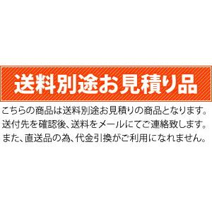 カワモリ ブロンザゲート 両開き BN1-117 [送料別途お見積り]_2