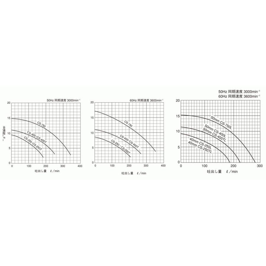 寺田ポンプ製作所 水中ポンプ CS-250 CS形化学溶液用 非自動 単相100V