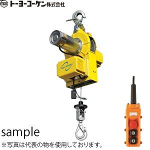 トーヨーコーケン 小型吊下げ式巻上機 NEWベビーホイスト BH-N815 有線操作 揚程：15m (定格荷重：250kg) [個人宅配送不可][送料別途お見積り]