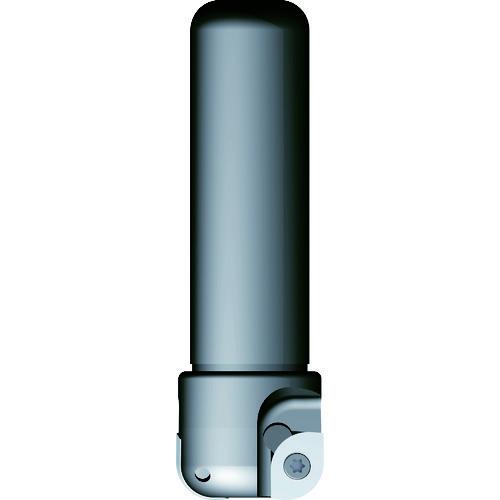 ■富士元 フライス工具 デカスミ 8R〜10R DC3240ALR(7963955)
