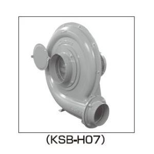 昭和電機 安全増防爆型電動送風機 ME-KSB-750B-R313のサムネイル