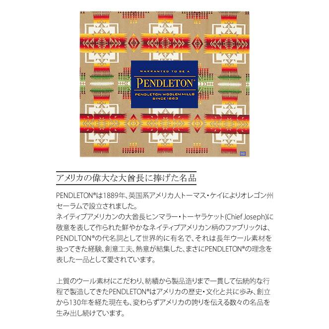 20％OFF　PENDLETON ペンドルトン 5475-1015 バックプリント ロングスリーブT Back Print Long Sleeve Tee (ユニセックス) 長袖 クルーネック tシャツ ロンt | PENDLETON | 07