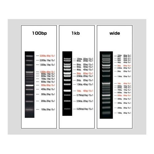 アズワン(AS ONE) ビオラモDNAラダーマーカー(100〜3000bp/1本入) VIO-100-1 1本｜firstnet