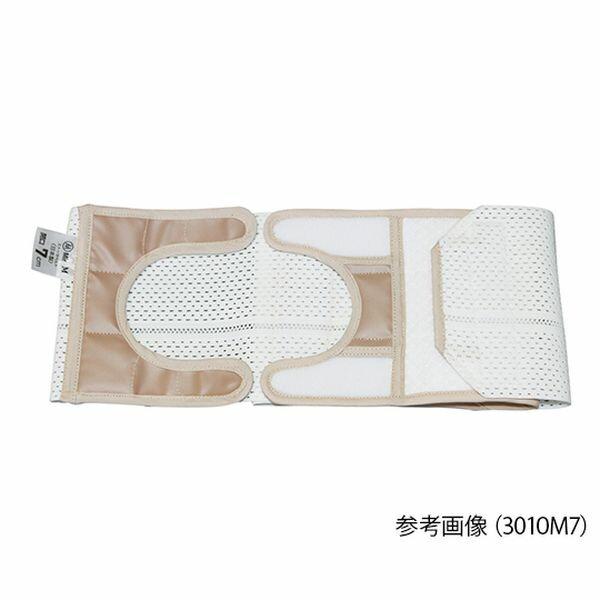 ふるさと納税 岩倉市 手ぬぐい2枚セット