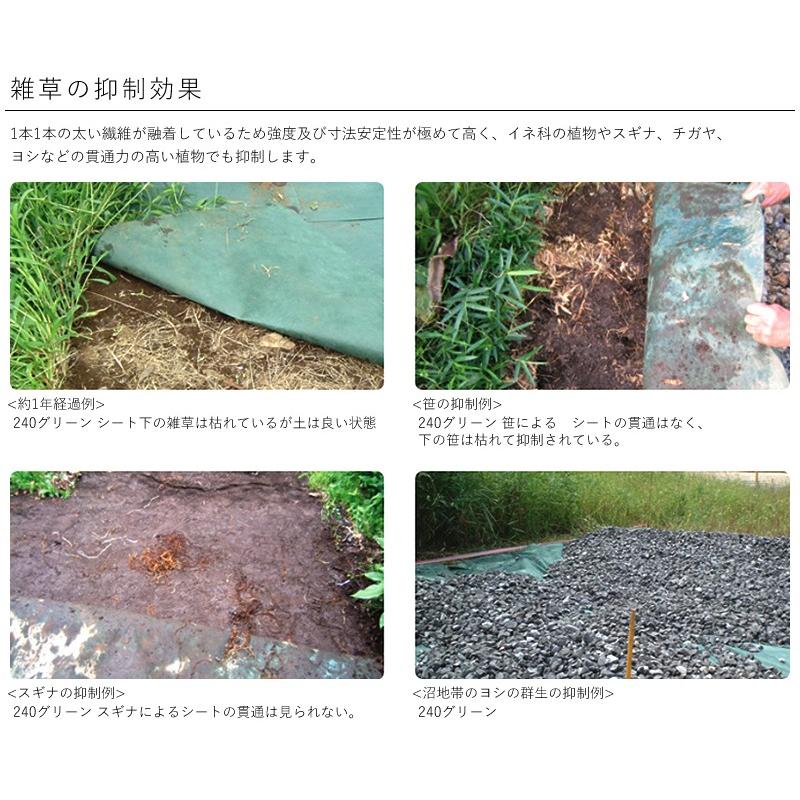 ザバーン 防草シート 350G  2m×30m XA-350G2.0  砂利下シート 高耐久 デュポン 350グリーン  [法人限定] 【在庫有り】_2