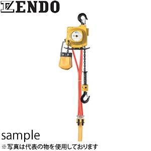 遠藤工業（ENDO） AT型エアホイスト AT-125K チェーン式 125kg 3m 