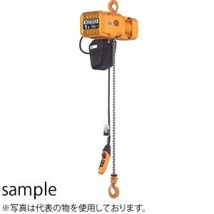 キトー(KITO)　電気チェーンブロック　2t用　4M　ER2-020IS-4　2速インバーター　標準速基準　3点ボタン　三相200V [個人宅配送不可]