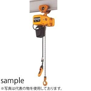 キトー(KITO)　電気チェーンブロック　250kg用　6M　ER2SP003S-6-S　1速　標準速　5点ボタン　三相200V [個人宅配送不可]