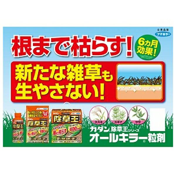 【10個セット】フマキラー カダン 除草王 オールキラー粒剤 400g [4902424450071]_3