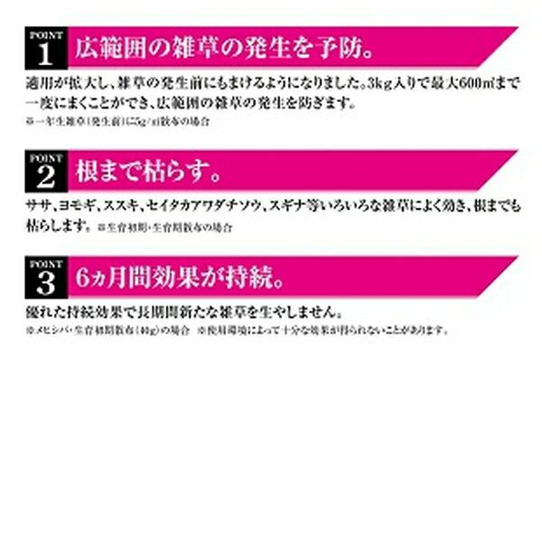 【10個セット】フマキラー カダン 除草王 オールキラー粒剤 400g [4902424450071]_4