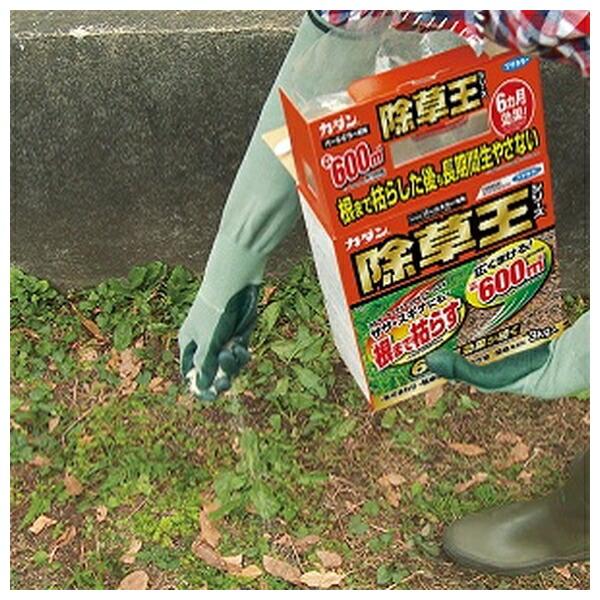 【10個セット】フマキラー カダン 除草王 オールキラー粒剤 400g [4902424450071]_5