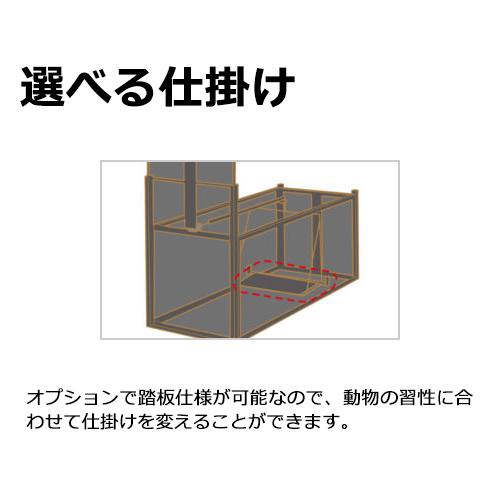 59896269_2