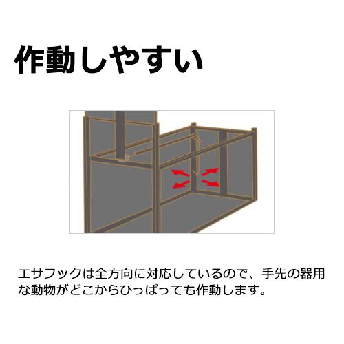 59896269_4