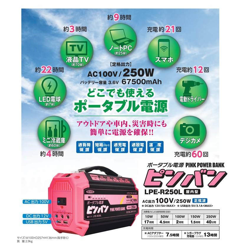 日動工業 AC100Vポータブル電源 ピンバン LPE-R250L 屋内型