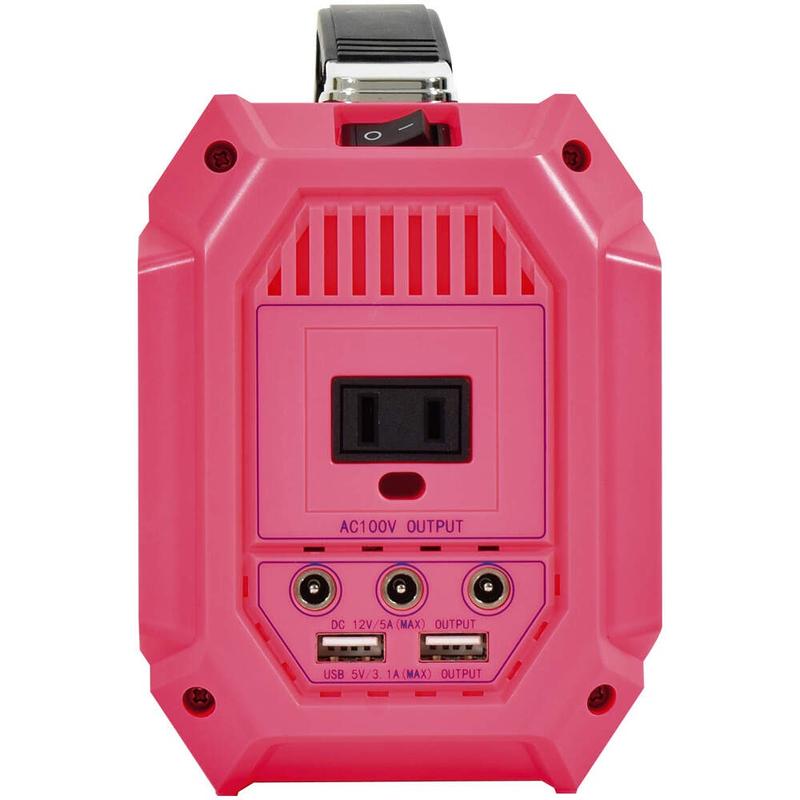 日動工業 AC100Vポータブル電源 ピンバン LPE-R250L 屋内型(MAX250W