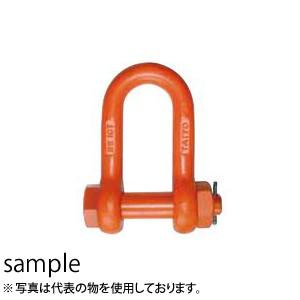 大洋製器 軽量シャックル ボルト・ナット止めタイプ RS-10 (1062618