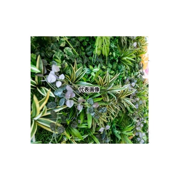 タカショー GD-201FF 33537400 壁面アレンジ F カラジューム(フレーム付)45cm×45cm 室内用人工植物 フェイクグリーン  GD-201FF  [法人限定]の画像