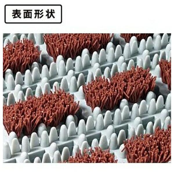 【箱売り 80個セット】テラモト(TERAMOTO) ナイロンブラッシュ H-25II 150×150mm MR-097-273-0 [法人限定]_4