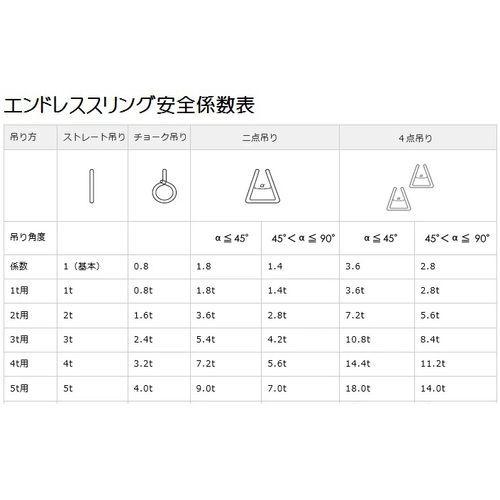 WCP 三方良し スリング ソフトタイプ エンドレス [246337-01