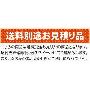 北越工業(AIRMAN) 高所作業台 らくノリ君3.2 ENHL032-4 手押し式 北越工業(AIRMAN) 高所作業台 らくノリ君3.2 ENHL032-4 手押し式
