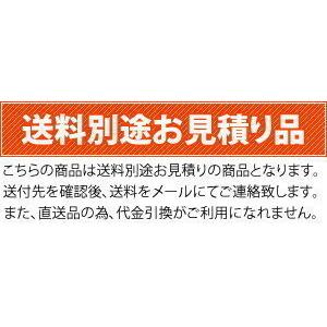 北越工業(AIRMAN) 高所作業台 らくノリ君3.8 ENHL038-4 手押し式 北越工業(AIRMAN) 高所作業台 らくノリ君3.8 ENHL038-4 手押し式
