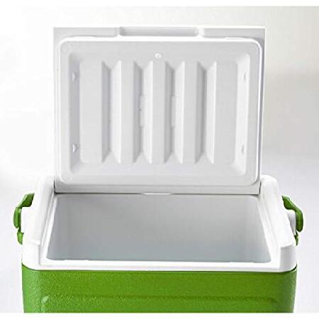 コールマン パーティスタッカー18QT グリーン 3000000841 :B002BM712U