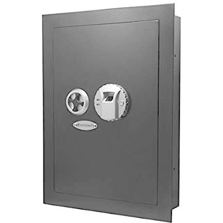 Biometric Wall Safe