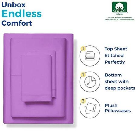 Thread Spread高級エジプト綿100% 1000スレッドカウント シーツ4点セット 最大18インチまでのマットレスが入る深いマチ California King パープル CO-10並行輸入