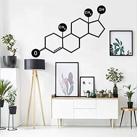 Metal Wall Art, Testosterone Molecule, Metal Wall Decor, Symbol Nerd Art, S