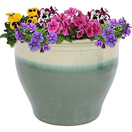 【売れ筋】 無料 ファーストポートSunnydaze Studio Ceramic Flower Pot Planter with Drainage Holes - High-Fire ligerliger.com ligerliger.com