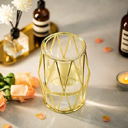 公式ストア Gold Pampas 草花瓶 6個セット グラスーム モダン 幾何学的